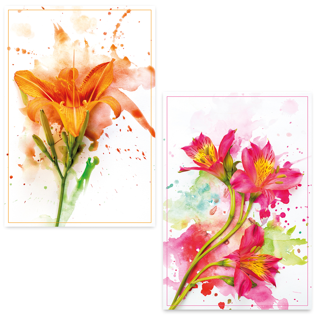 ZB0076 - Wenskaarten Geschilderde bloemen